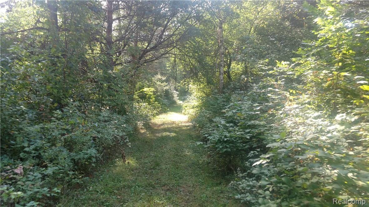 4727 Reynolds Road Marlette, MI 48453 - Photo 9 of 42 IMG_20160922_104307748.jpg