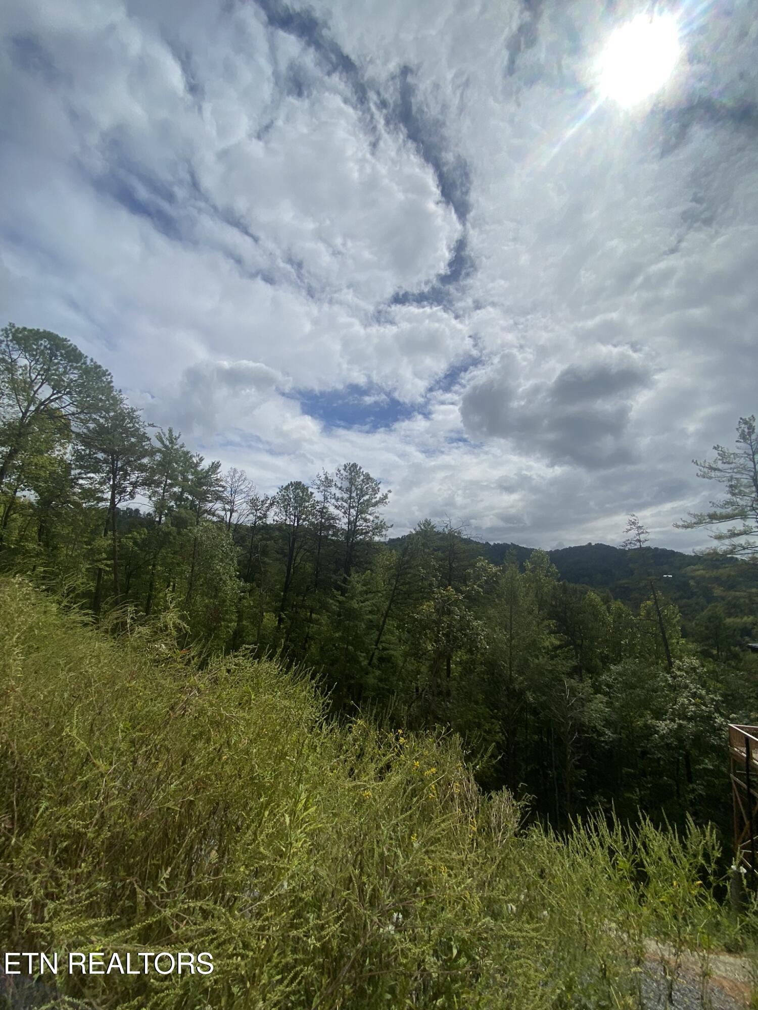 Lot 9 Sunset Road Sevierville, TN 37862 - Photo 1 of 22 IMG_0346