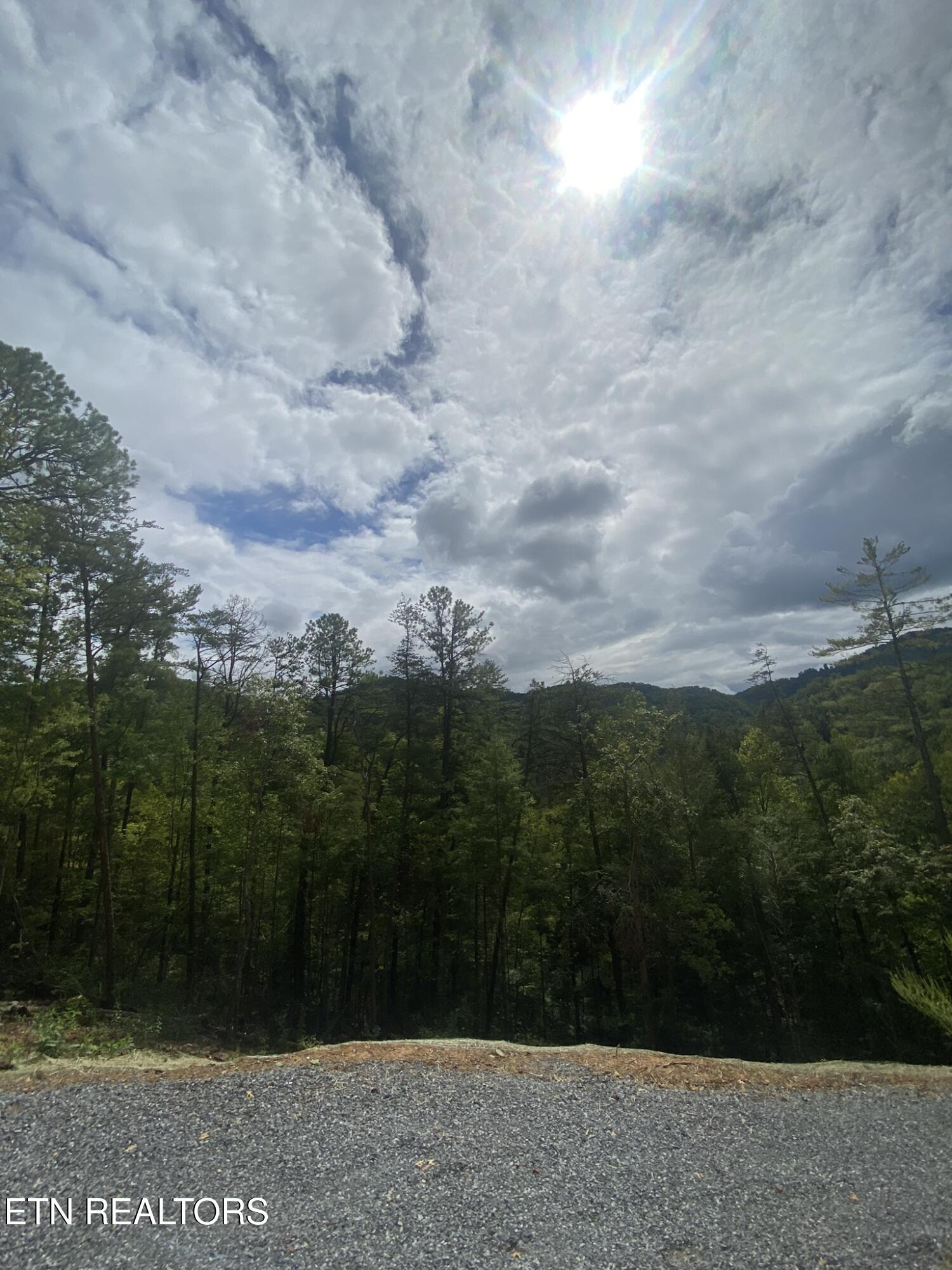 Lot 9 Sunset Road Sevierville, TN 37862 - Photo 15 of 22 IMG_0348