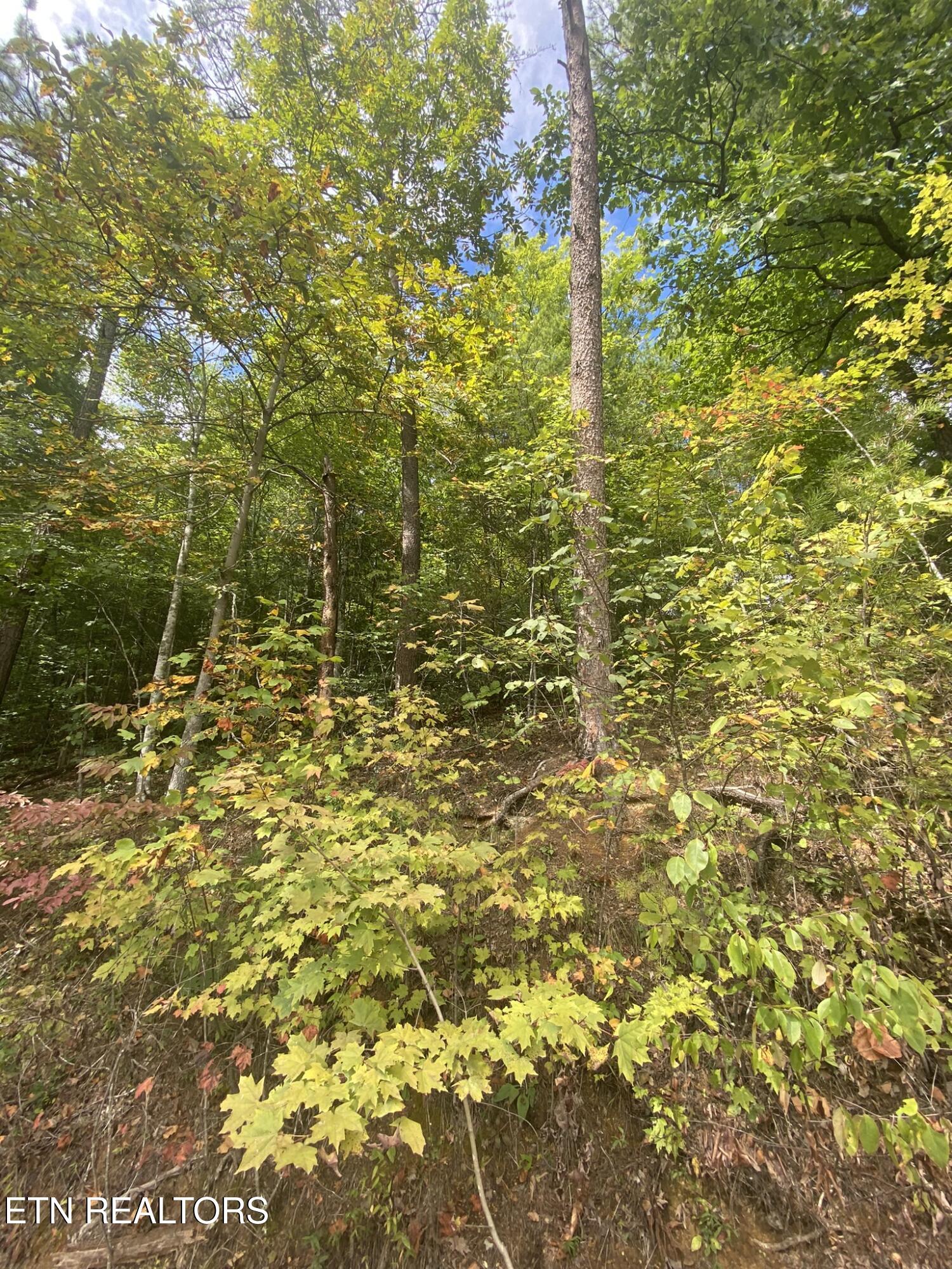 Lot 9 Sunset Road Sevierville, TN 37862 - Photo 18 of 22 IMG_0351