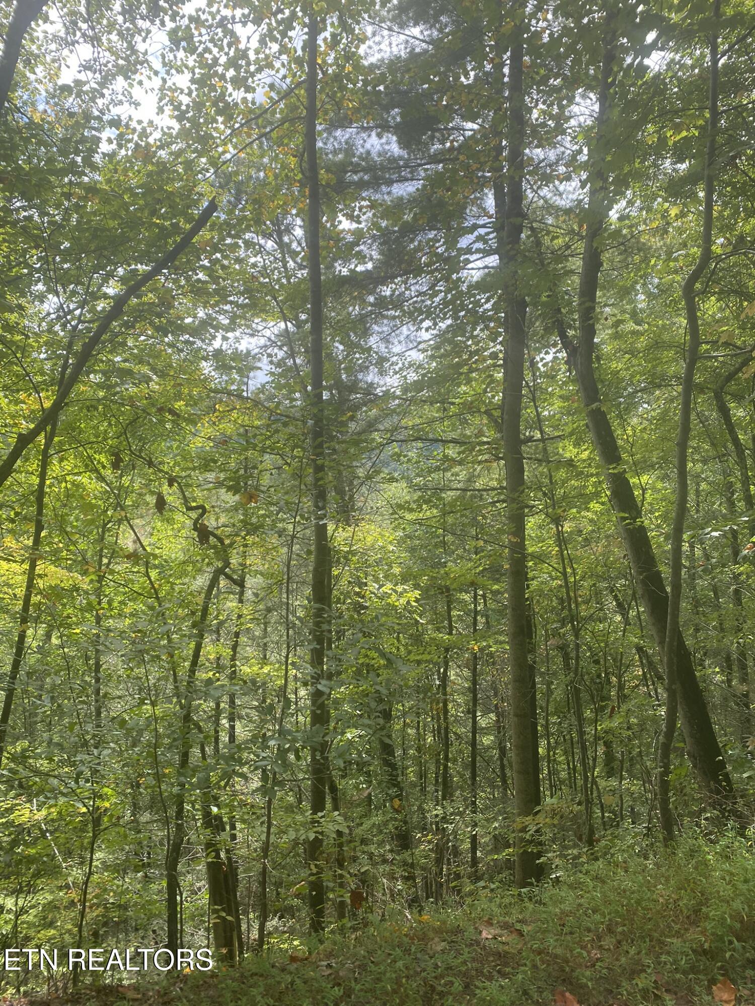 Lot 9 Sunset Road Sevierville, TN 37862 - Photo 2 of 22 IMG_0332