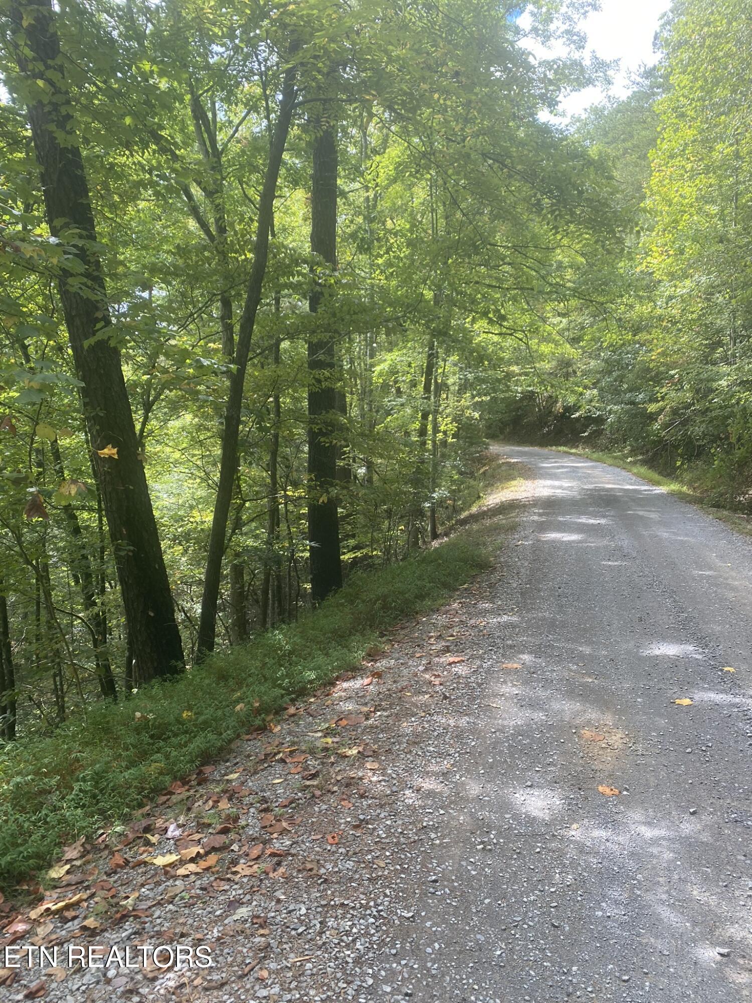 Lot 9 Sunset Road Sevierville, TN 37862 - Photo 6 of 22 IMG_0336