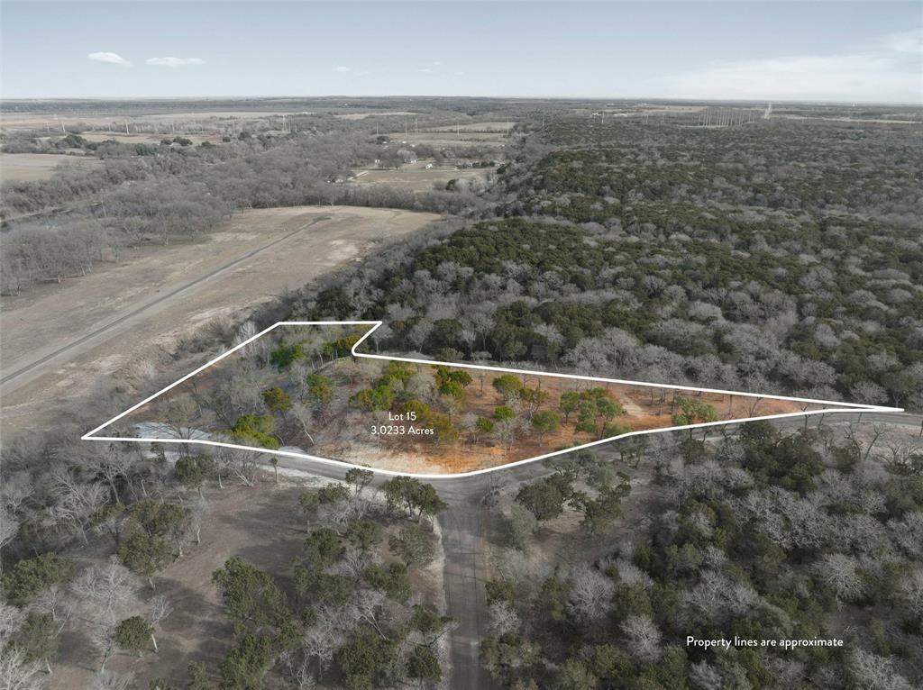 Lot 15 Riverside Drive Aquilla, TX 76622 - Photo 3 of 15