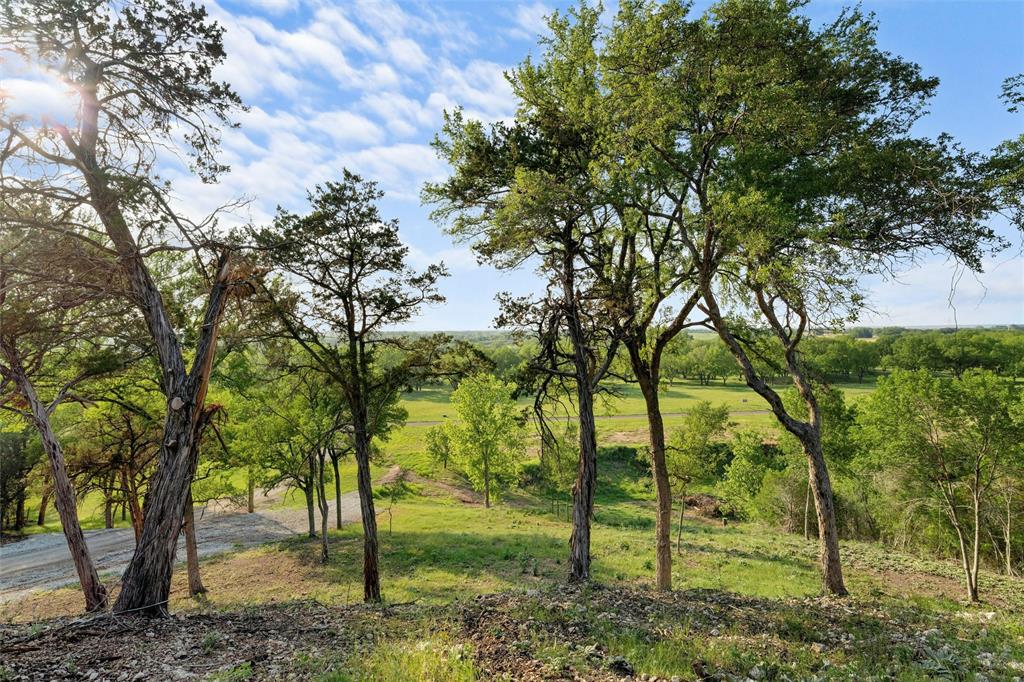 Lot 15 Riverside Drive Aquilla, TX 76622 - Photo 6 of 15