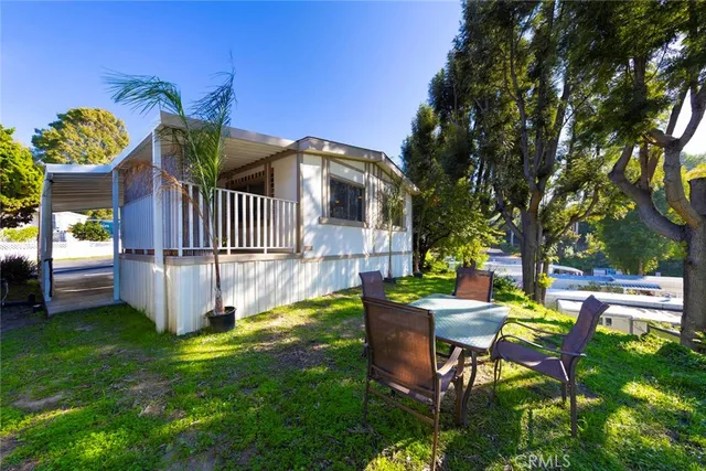 a backyard with potted plants and a large tree