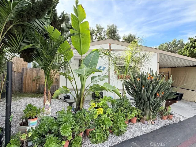 a view of a yard with plants