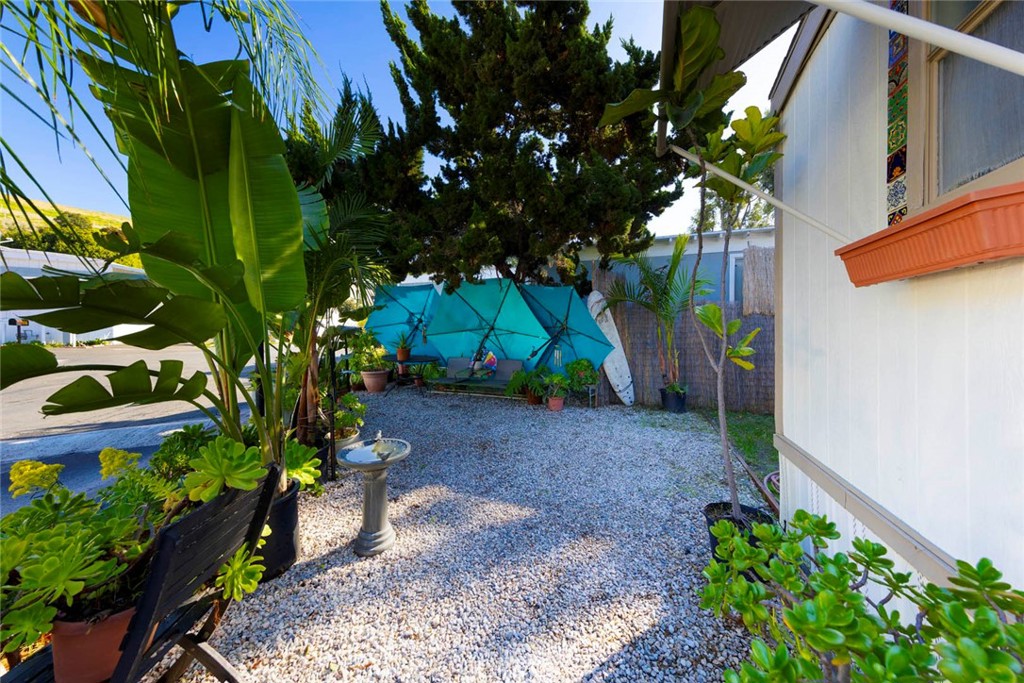32802 Valle Road, Unit 108 San Juan Capistrano, CA 92675 - Photo 31 of 32 a backyard with potted plants and a large tree