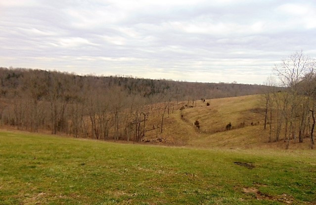 995 Goose Creek Road Owenton, KY 40359 - Photo 17 of 27 Gallery Image 17