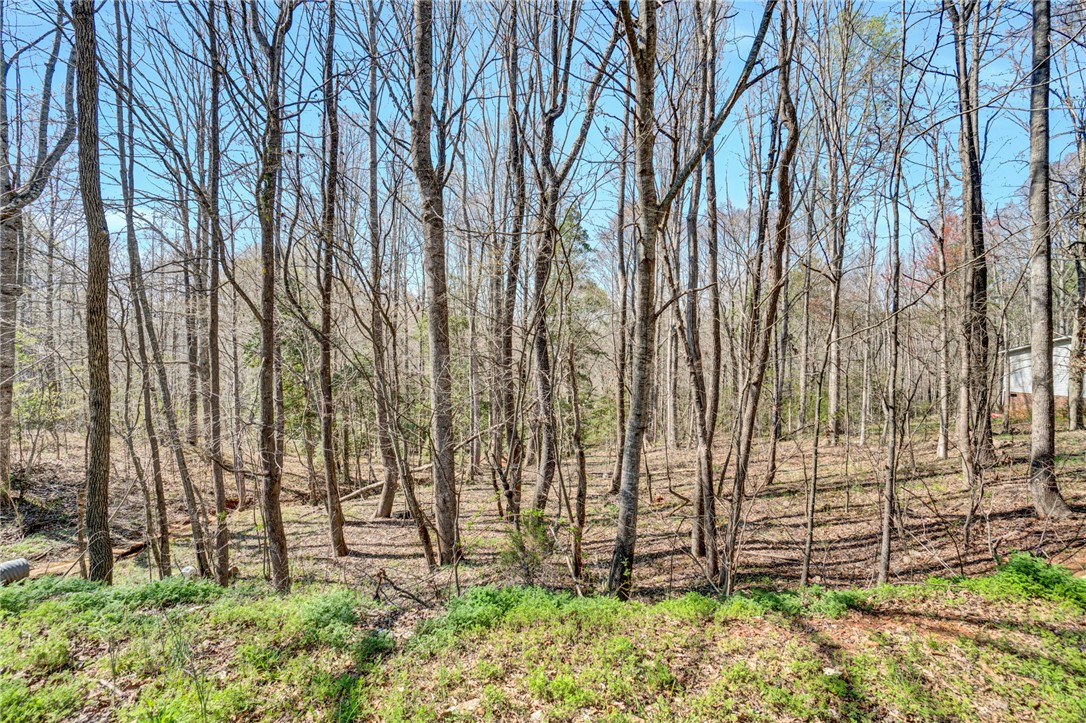 404 Thornbury Ridge Easley, SC 29640 - Photo 12 of 16