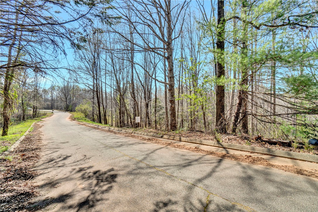 404 Thornbury Ridge Easley, SC 29640 - Photo 14 of 16