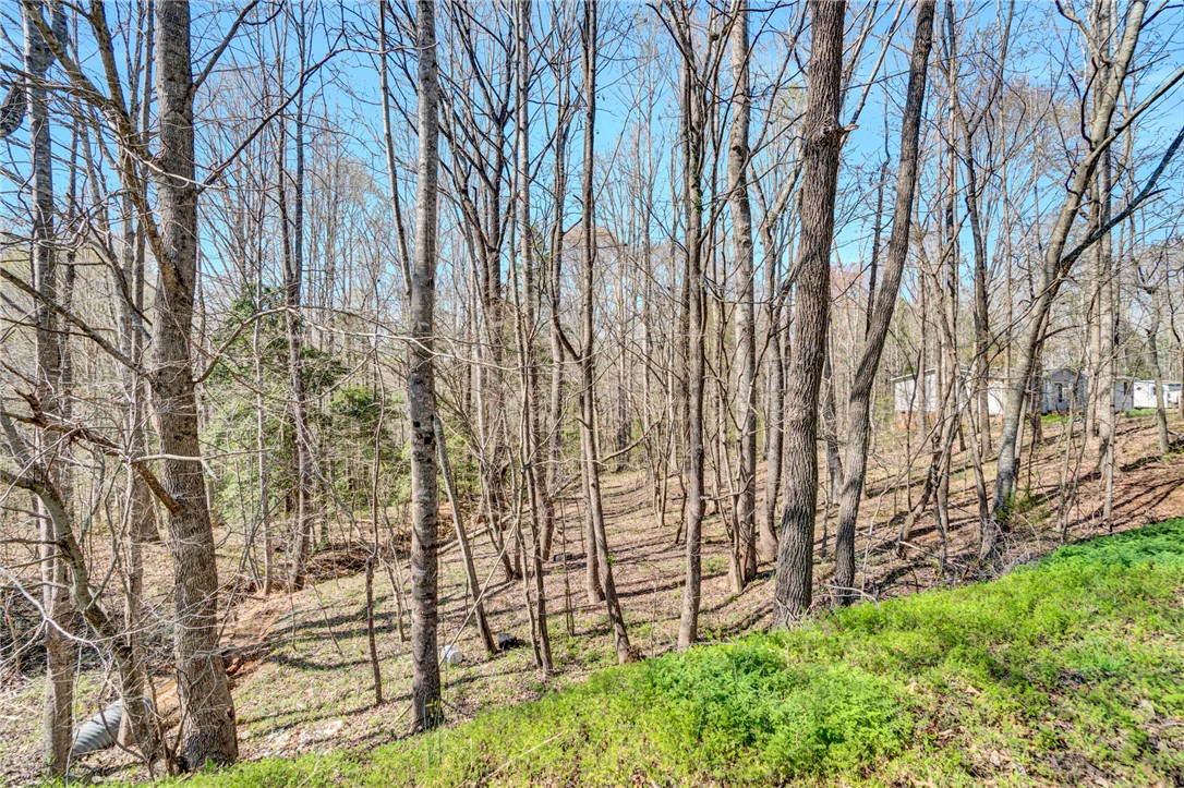 404 Thornbury Ridge Easley, SC 29640 - Photo 16 of 16