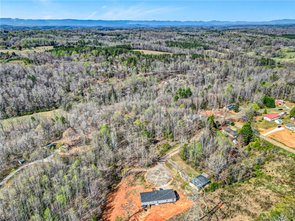 404 Thornbury Ridge Easley, SC 29640 - Photo 4 of 16