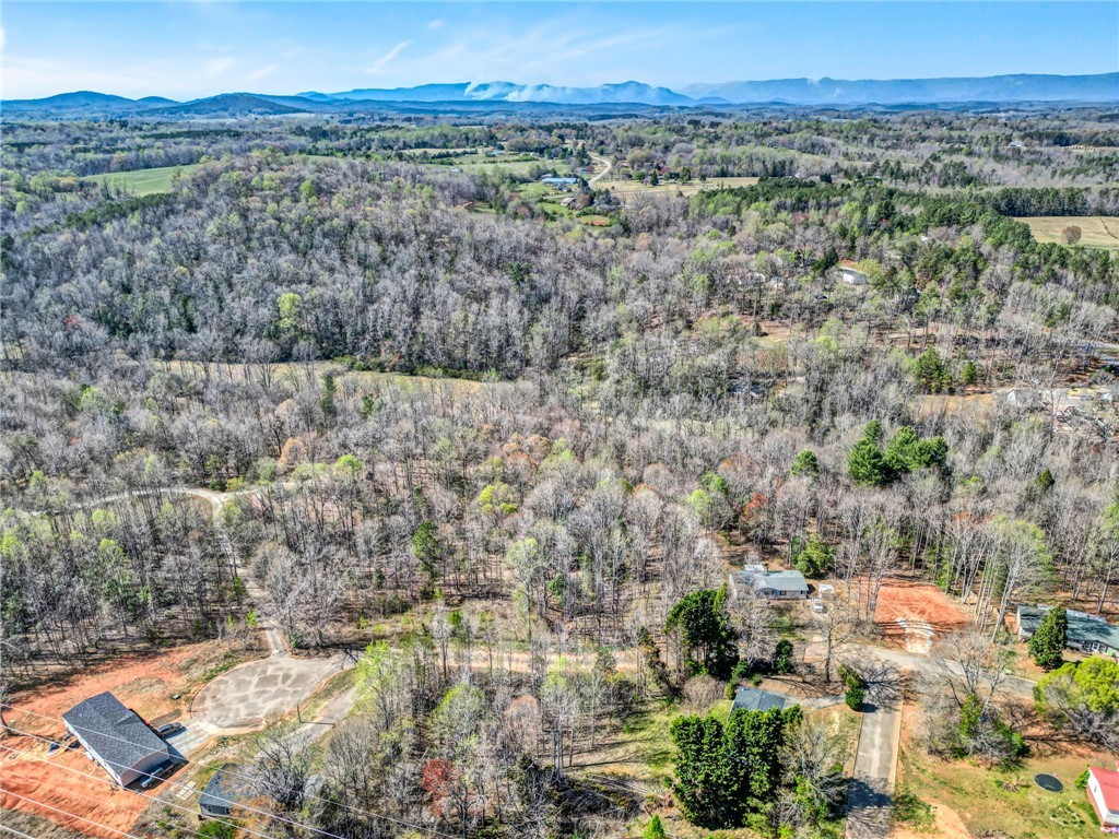 404 Thornbury Ridge Easley, SC 29640 - Photo 5 of 16