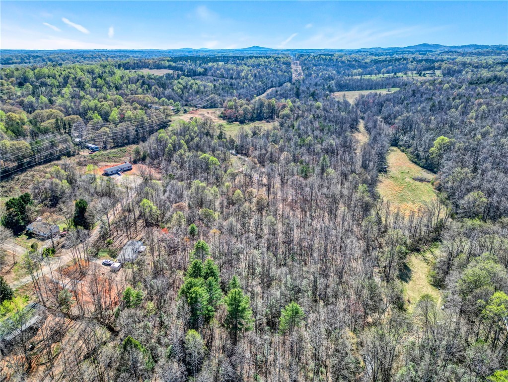 404 Thornbury Ridge Easley, SC 29640 - Photo 7 of 16