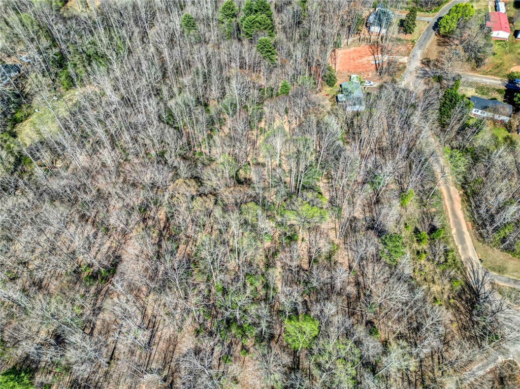 404 Thornbury Ridge Easley, SC 29640 - Photo 9 of 16