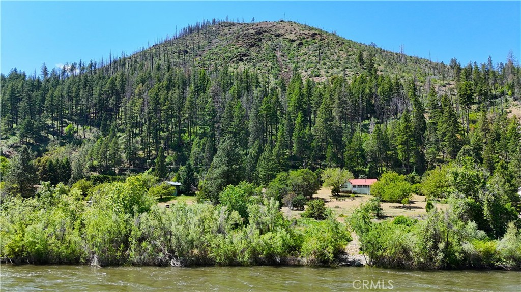 38703 Highway 96 Klamath River, CA 96050 - Photo 23 of 37 a view of a garden with a building