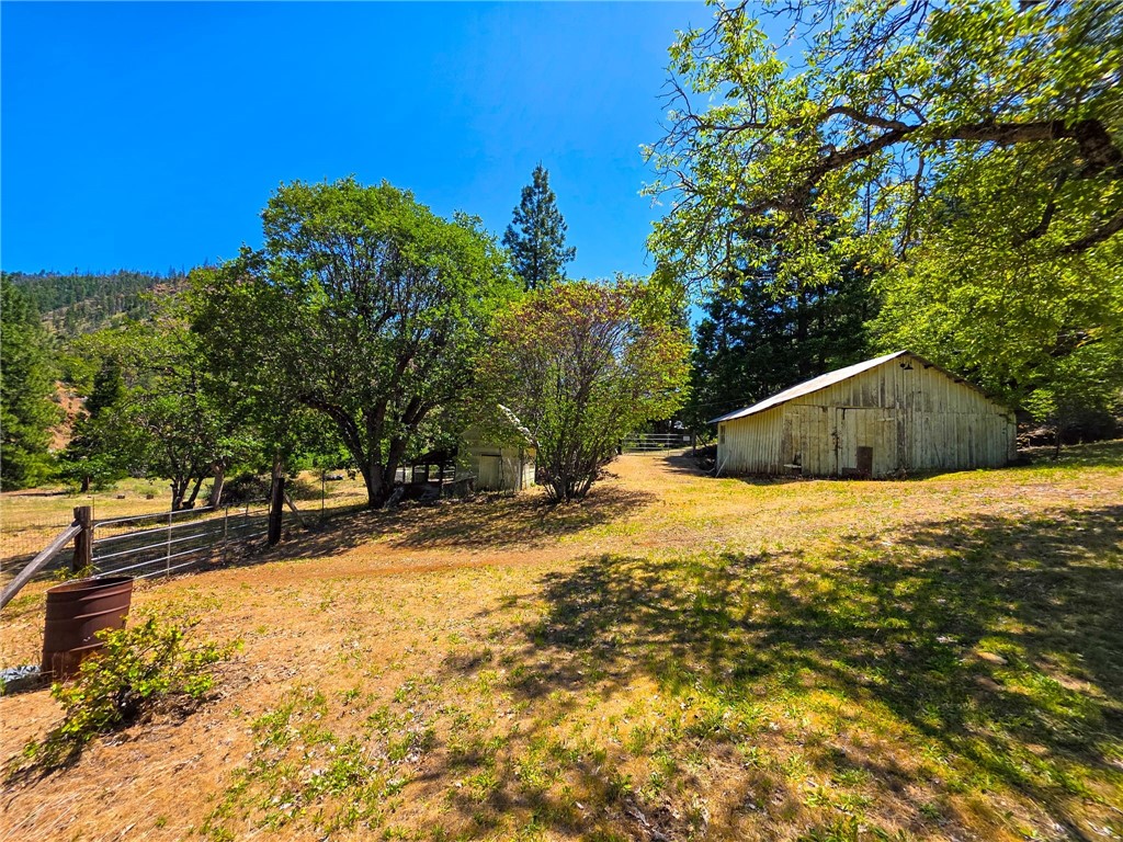 38703 Highway 96 Klamath River, CA 96050 - Photo 28 of 37 a view of back yard of the house
