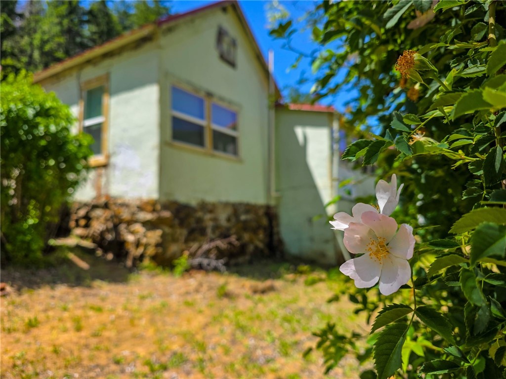 38703 Highway 96 Klamath River, CA 96050 - Photo 33 of 37 a front view of a house with a yard