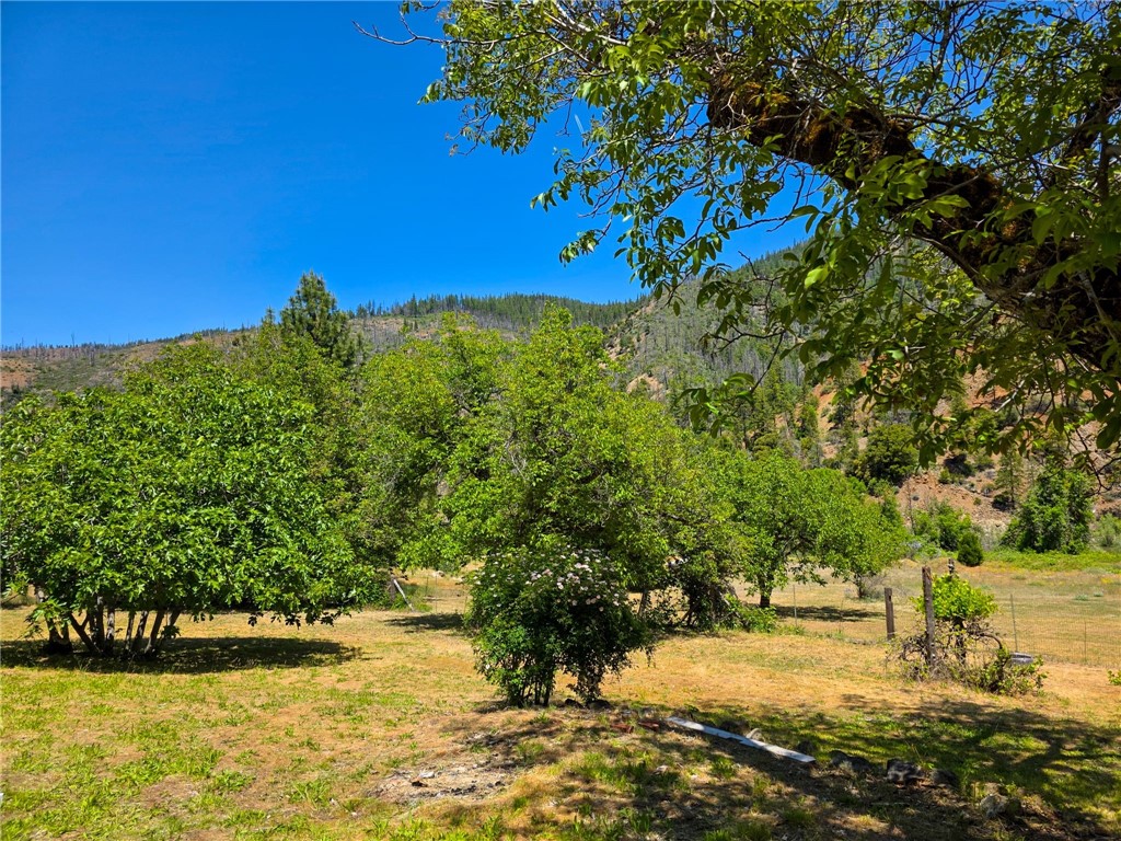38703 Highway 96 Klamath River, CA 96050 - Photo 35 of 37 a view of a yard with a house in the background