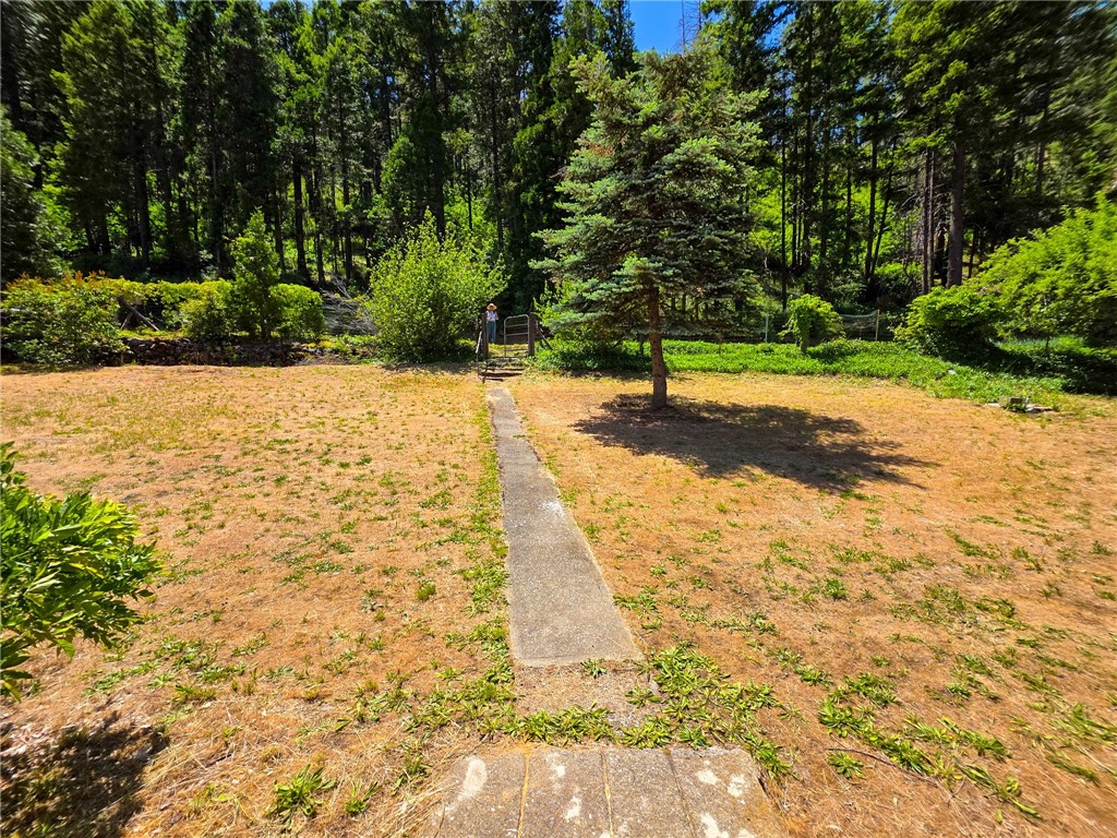 38703 Highway 96 Klamath River, CA 96050 - Photo 4 of 37 a street view with yard