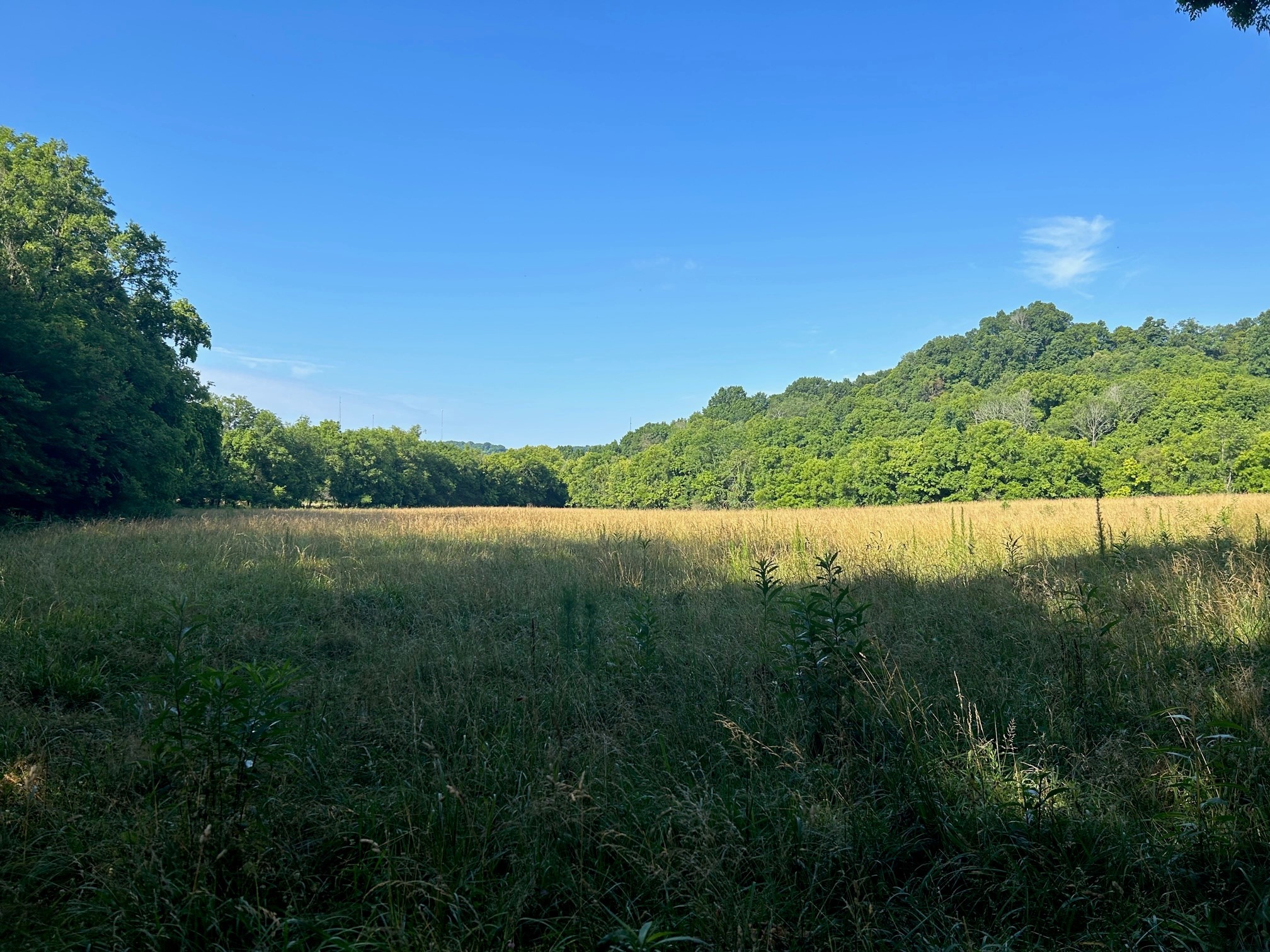 501 Tallent Road Pulaski, TN 38478 - Photo 12 of 23 a view of lake with green space