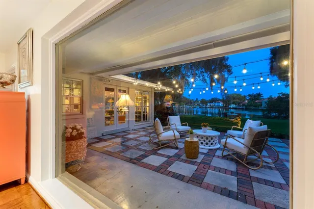 a view of a palm trees