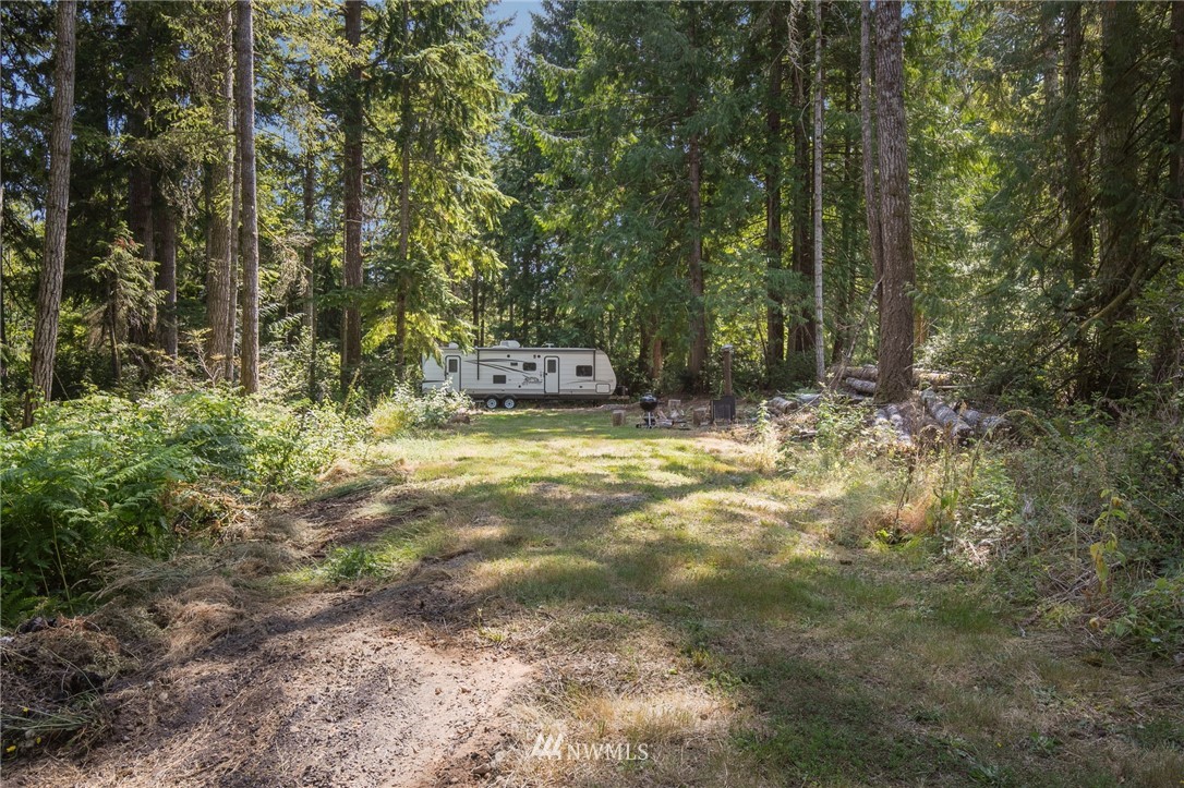 0 Northwest Stavis Bay Road Seabeck, WA 98380 - Photo 14 of 17 Gallery Image 14