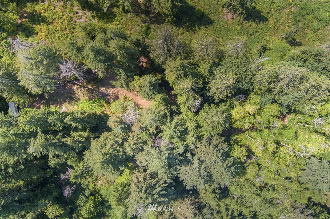 0 Northwest Stavis Bay Road Seabeck, WA 98380 - Photo 8 of 17 Gallery Image 8