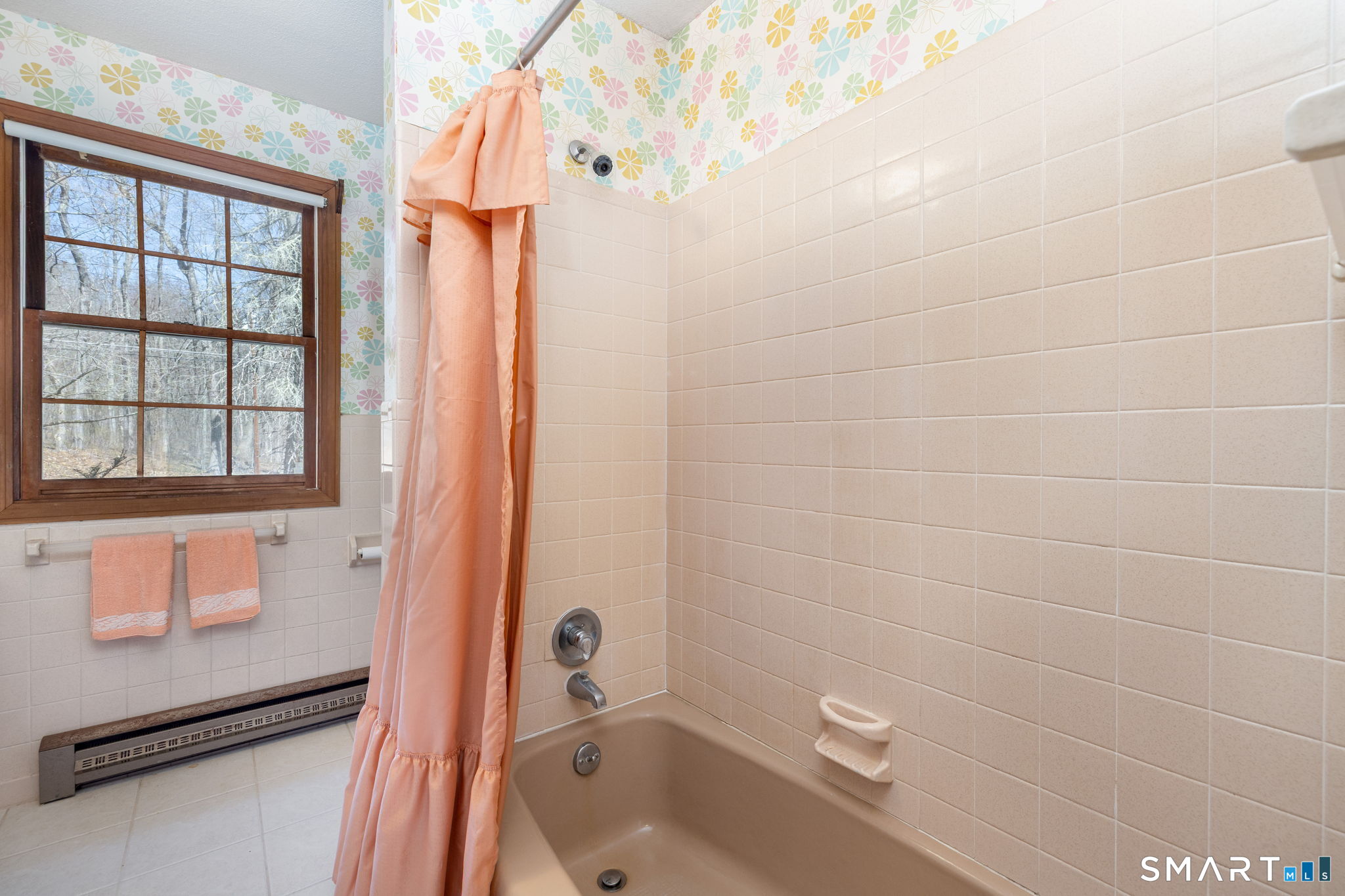 213 Brush Hill Road Litchfield, CT 06759 - Photo 18 of 27 TUB WITH SHOWER