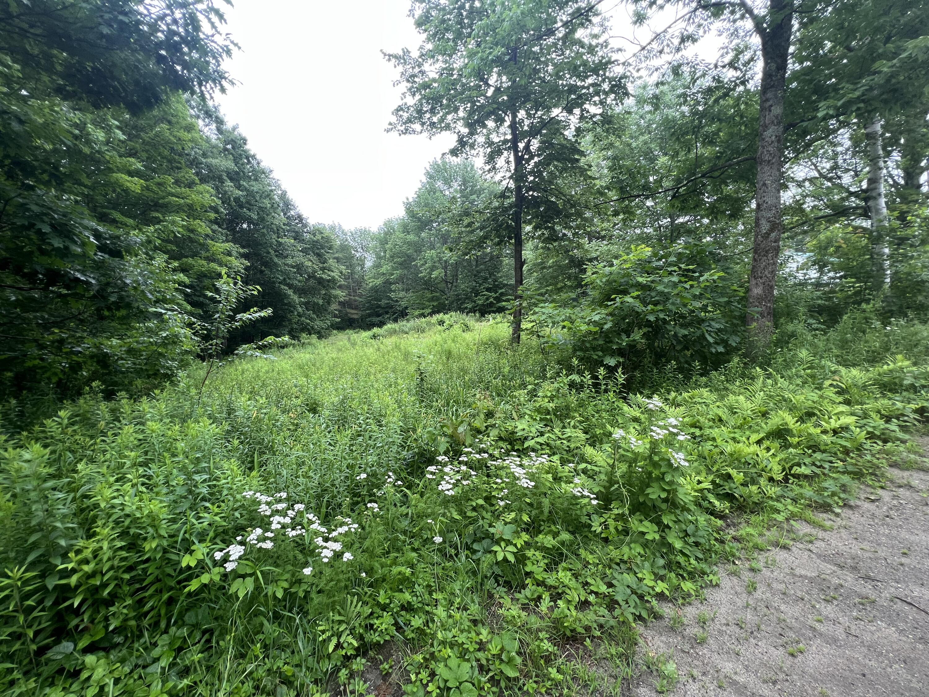 89 Plummer Road Richmond, ME 04357 - Photo 5 of 5 04FBA113-06B5-44E8-9A3F-F02CDCE59811