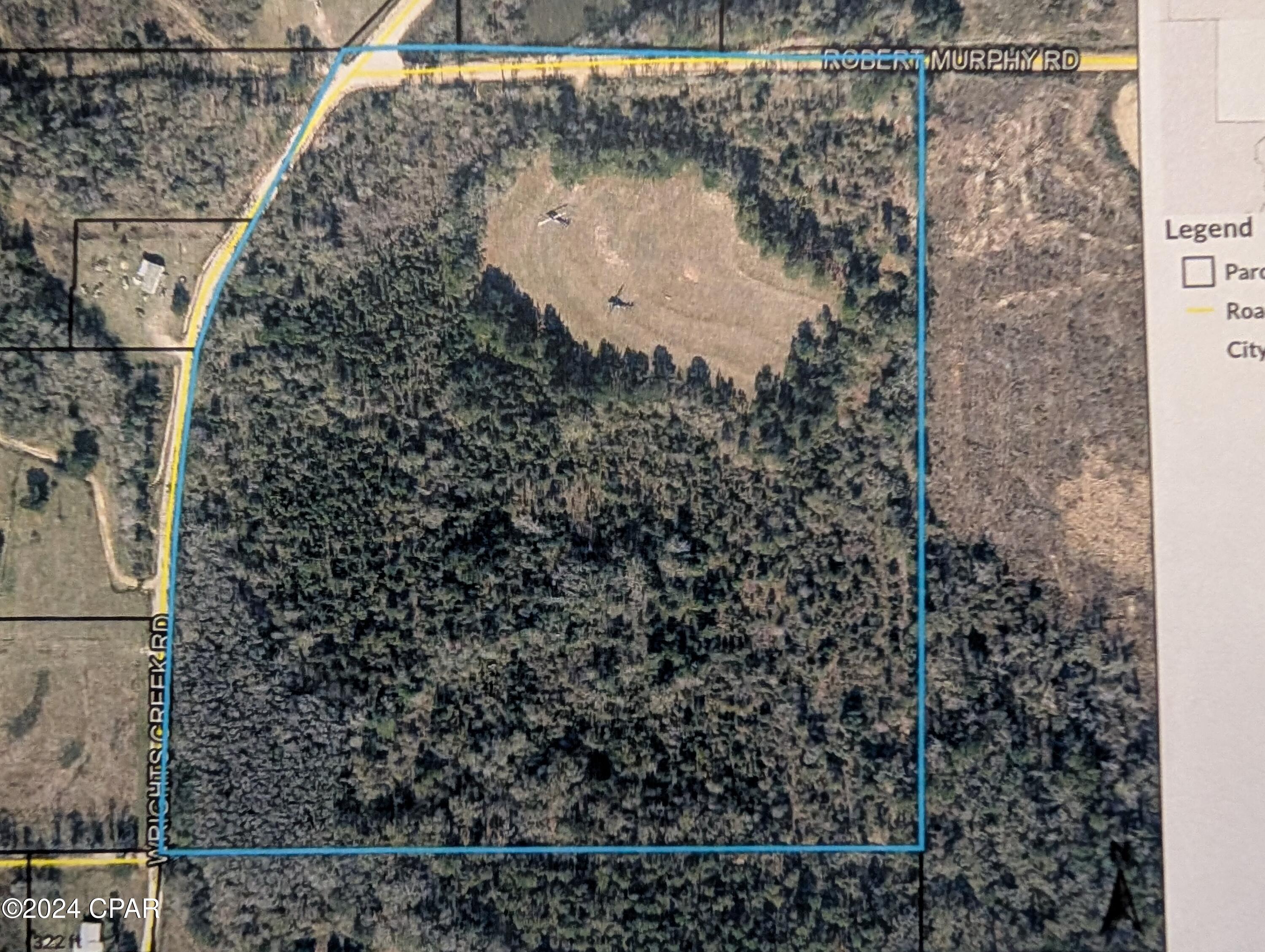 0 Robert Murphy Road Graceville, FL 32440 - Photo 3 of 3 Gallery Image 3