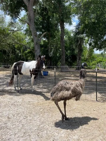 $343,500 | 4059 McKethan Road, Dade City, FL 33523