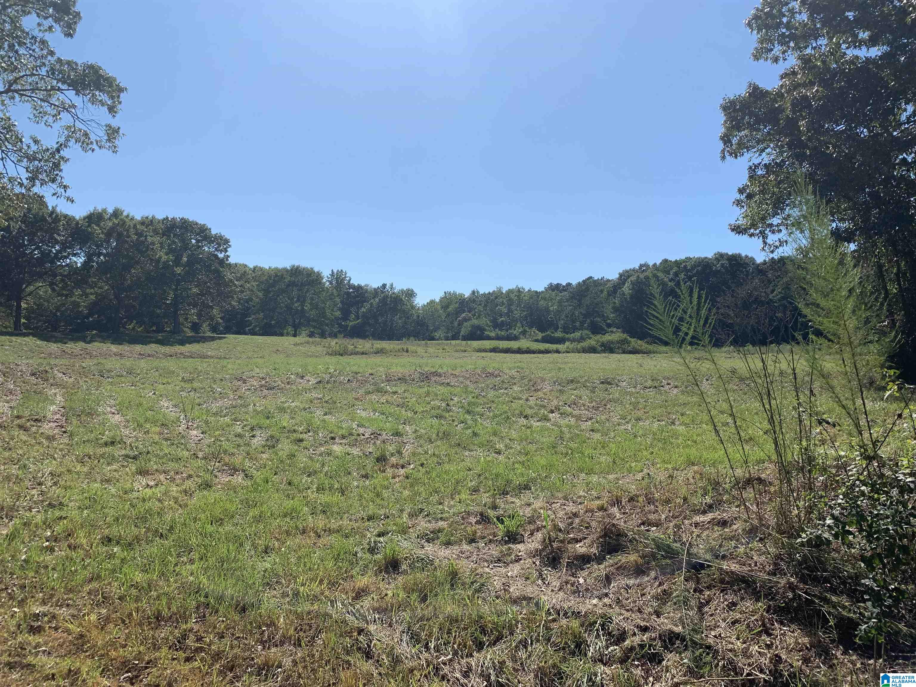 2020 Church Road, Unit 2020 Pell City, AL 35128 - Photo 9 of 16