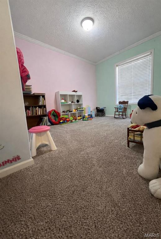 2977 Ripley Route Doniphan, MO 63935 - Photo 16 of 22