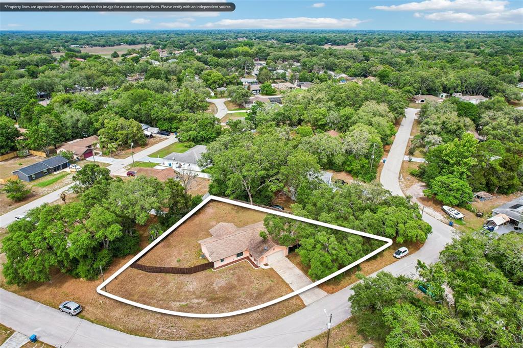 232 Cavalier Avenue Spring Hill, FL 34606 - Photo 10 of 39