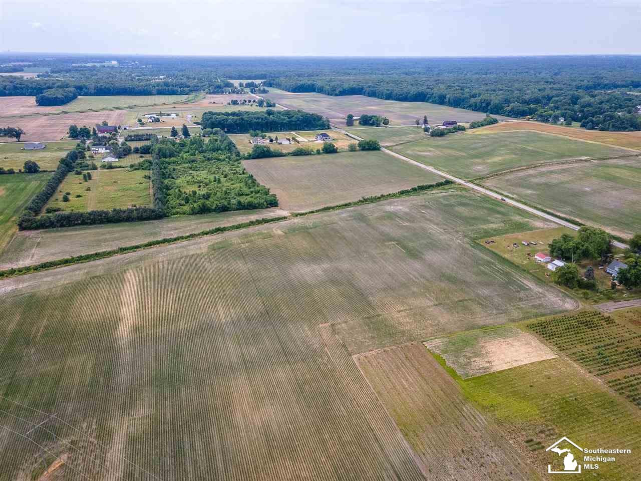 0 Douglas Road Ida, MI 48140 - Photo 6 of 14