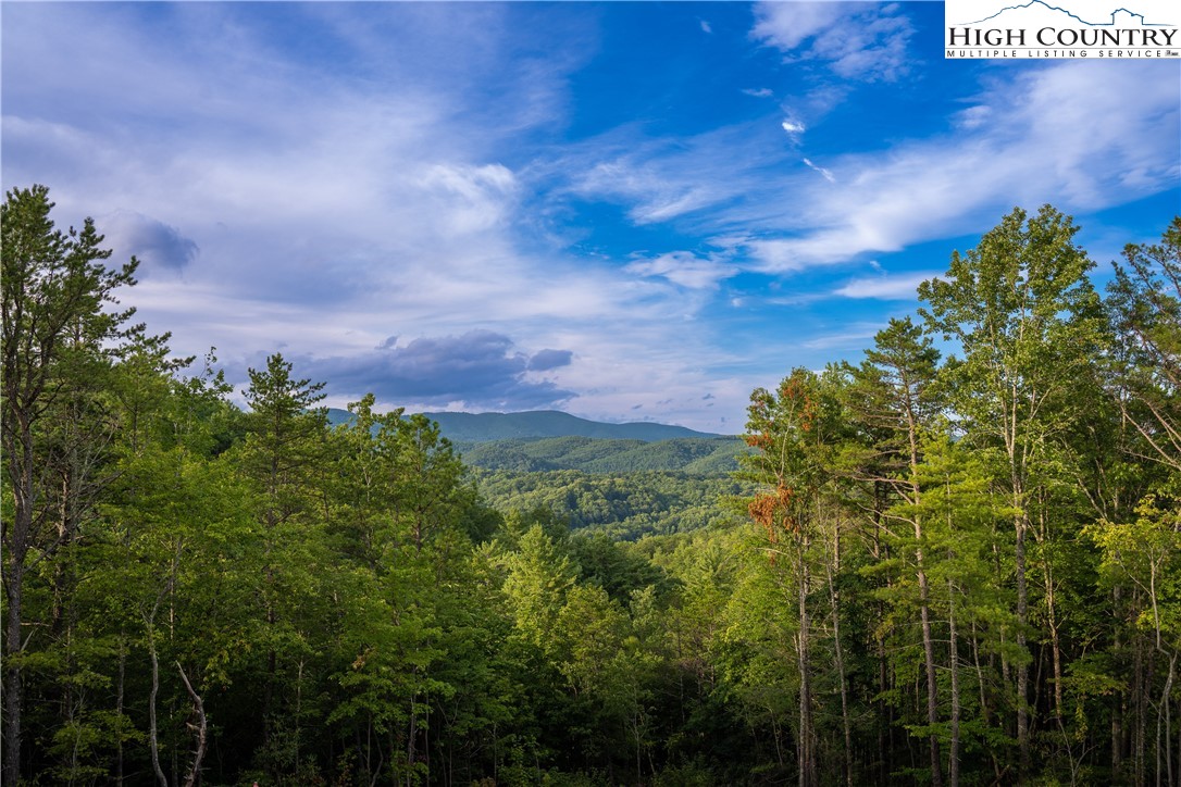 183 Marigold Road Boone, NC 28607 - Photo 3 of 50