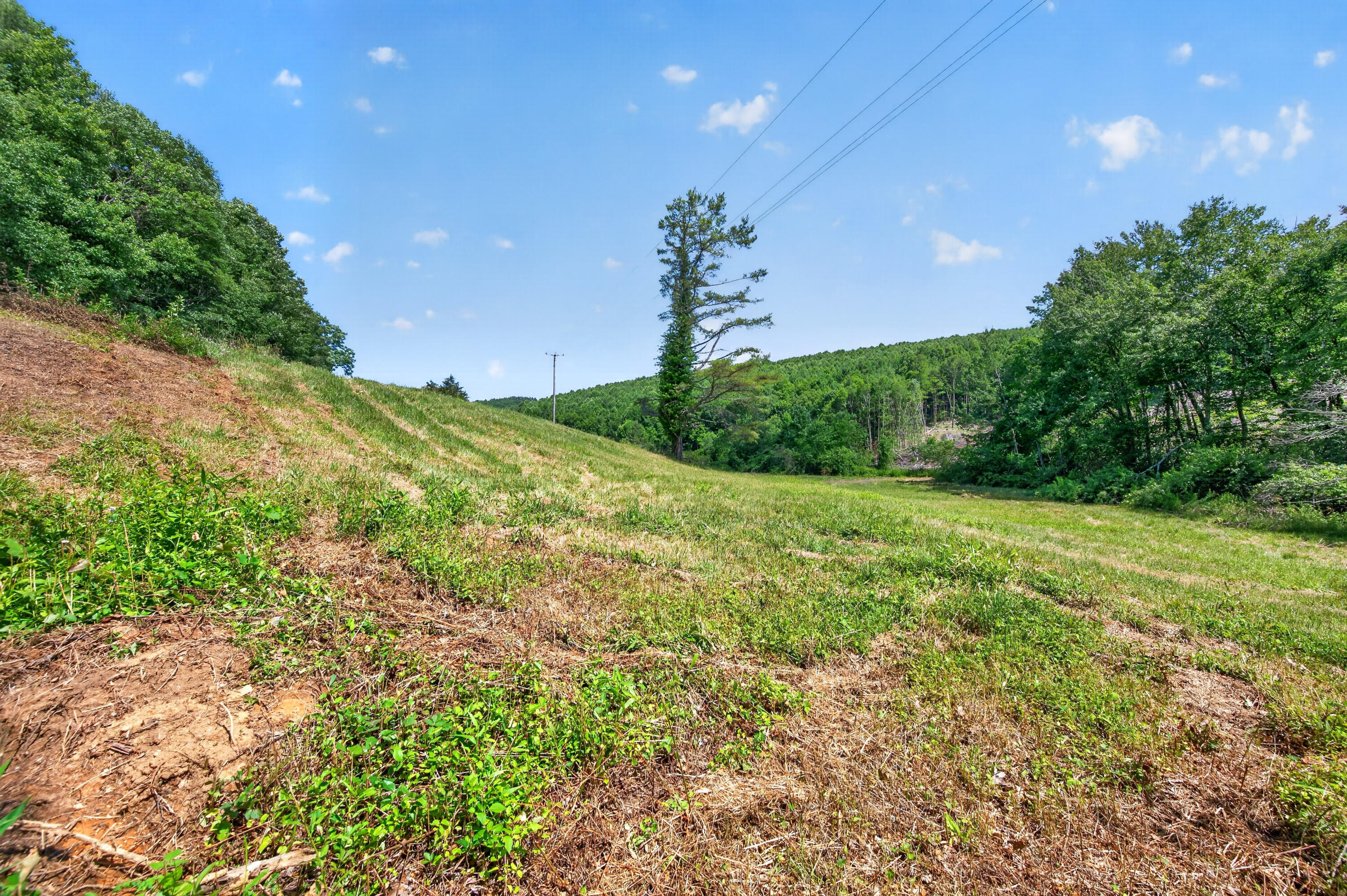 6196 Chances Creek Road Fancy Gap, VA 24328 - Photo 60 of 78 61