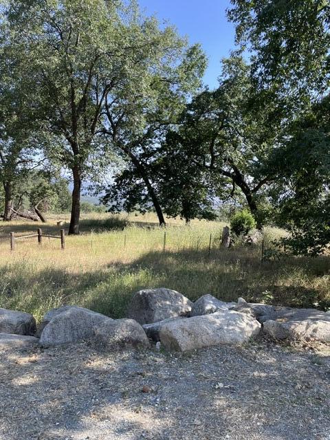 45967 Blue Ridge Drive, Unit C Springville, CA 93265 - Photo 6 of 8