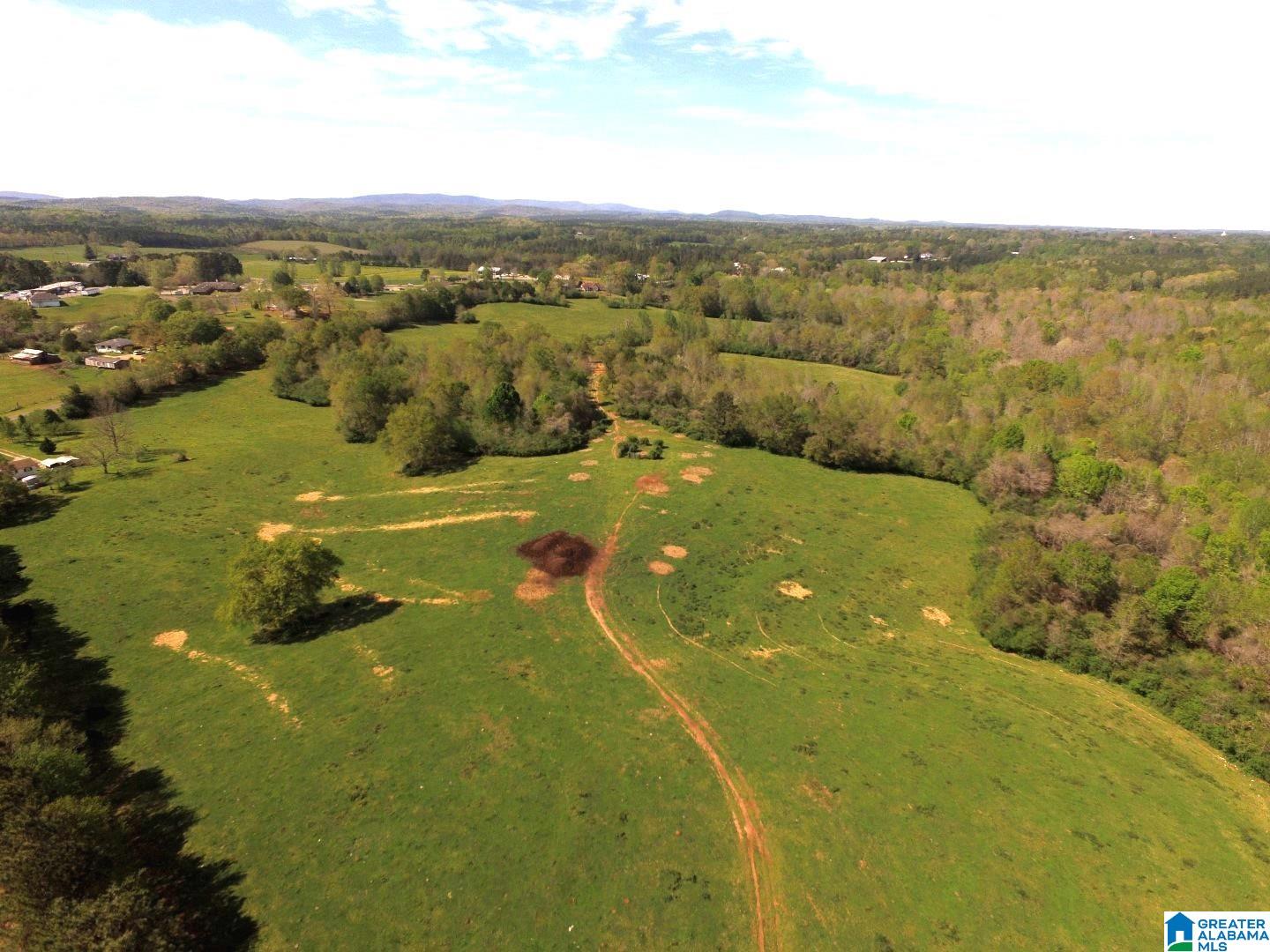Arena Road, Unit 91 Lineville, AL 36266 - Photo 4 of 13