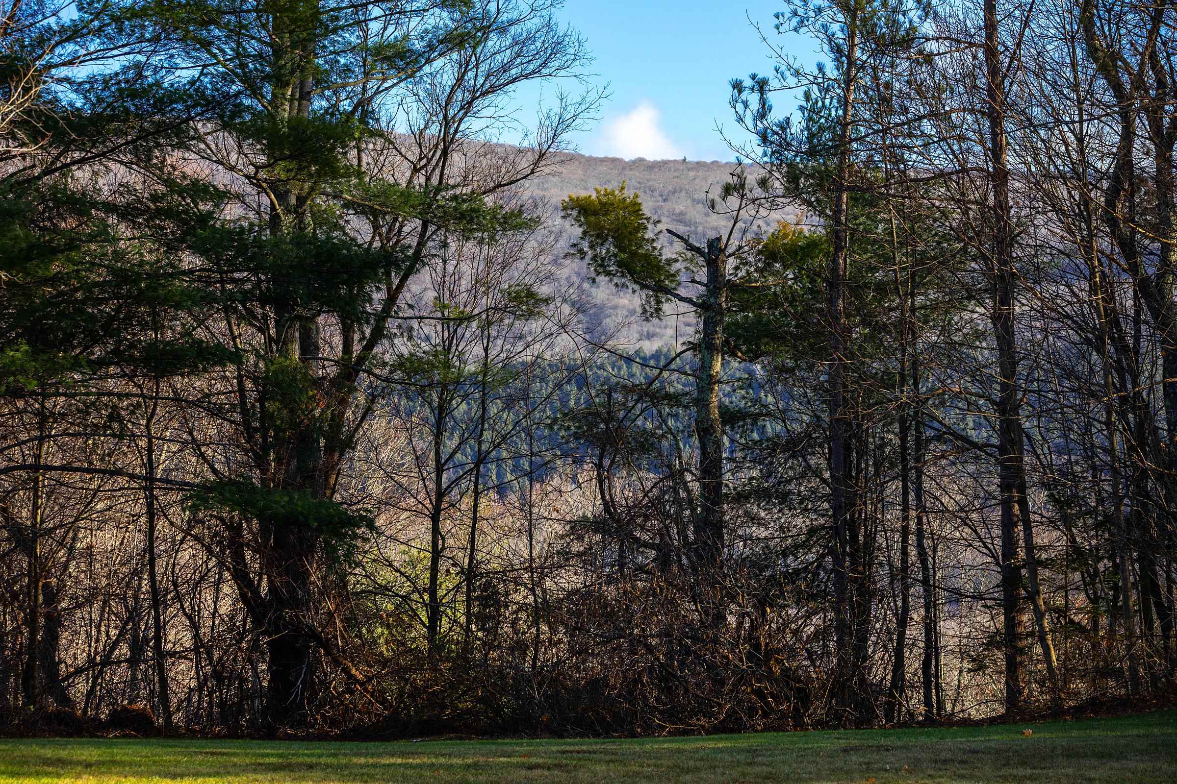 490 Barnumville Road Manchester, VT 05255 - Photo 45 of 52