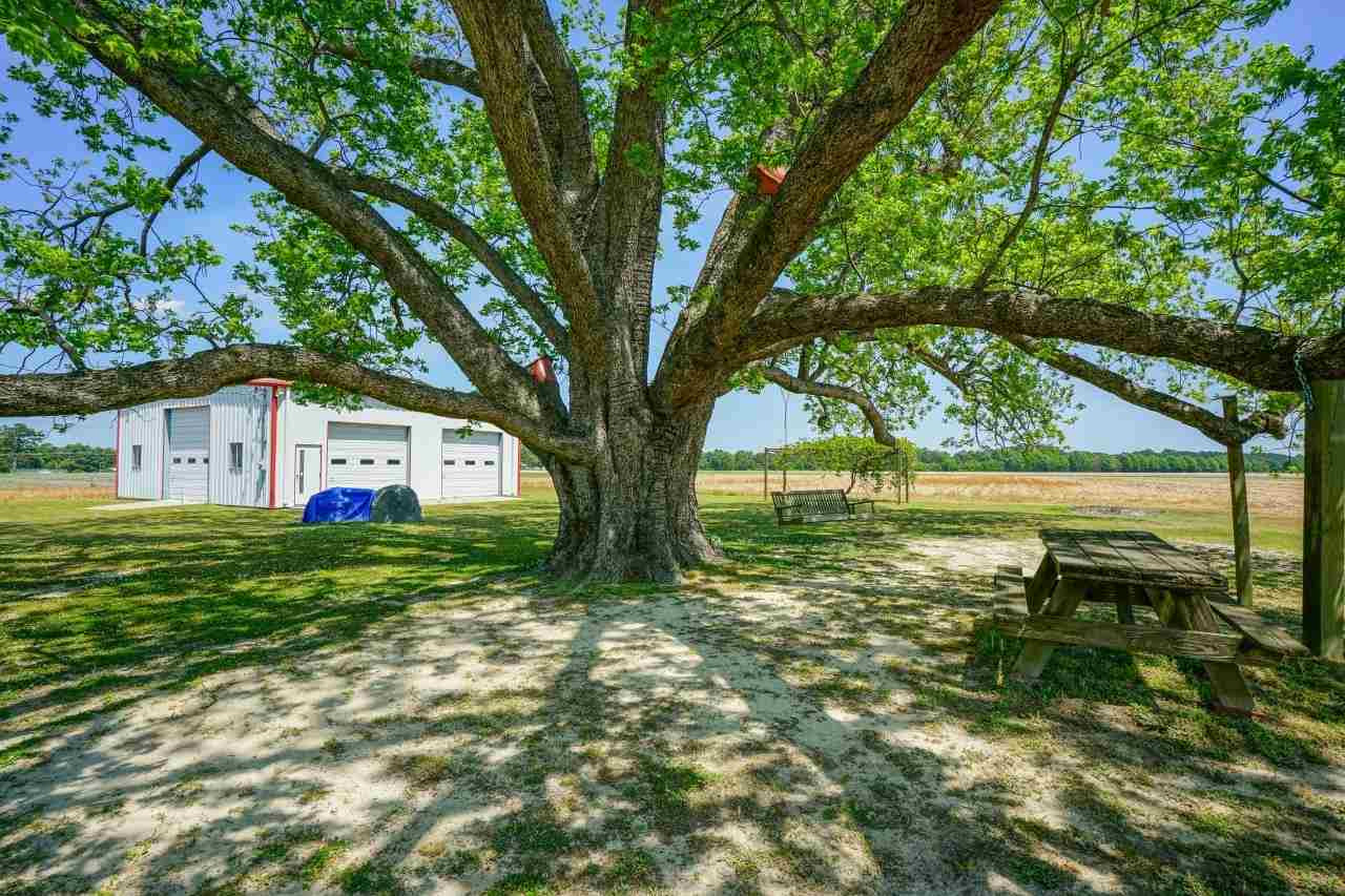 9722 Stricklands Crossroads Road Benson, NC 27504 - Photo 6 of 30 Photo 6
