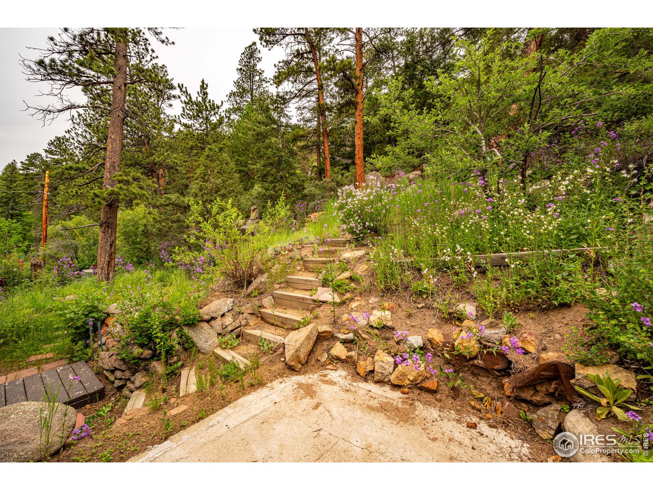 478 Riverside Drive Lyons, CO 80540 - Photo 38 of 40