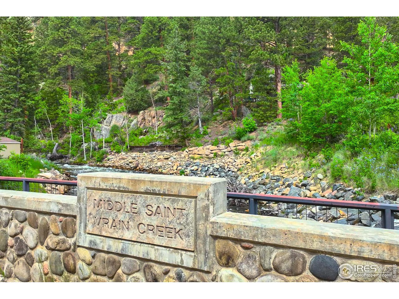 478 Riverside Drive Lyons, CO 80540 - Photo 39 of 40