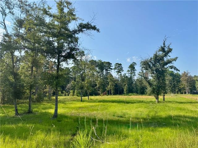 Tbd Berry Todd Road Lacombe, LA 70445 - Photo 5 of 6 Gallery Image 5