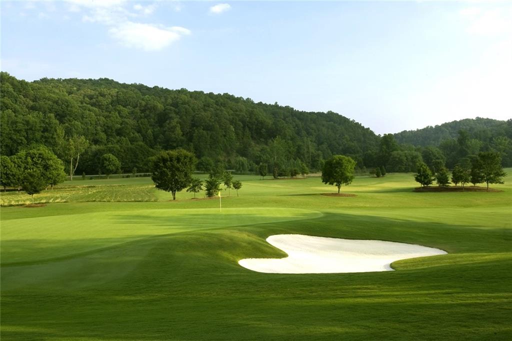 1024 Bear Paw Ridge Dahlonega, GA 30533 - Photo 15 of 41 a view of a golf course with a lake