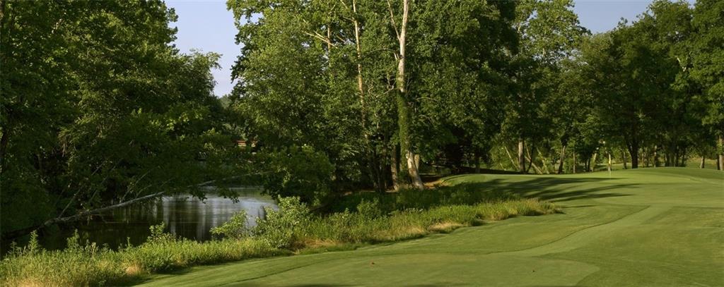 1024 Bear Paw Ridge Dahlonega, GA 30533 - Photo 16 of 41 a view of a lush green space