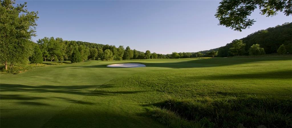 1024 Bear Paw Ridge Dahlonega, GA 30533 - Photo 17 of 41 a view of a golf course with a lake