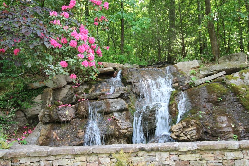 1024 Bear Paw Ridge Dahlonega, GA 30533 - Photo 29 of 41 a picture of flowers and flowers
