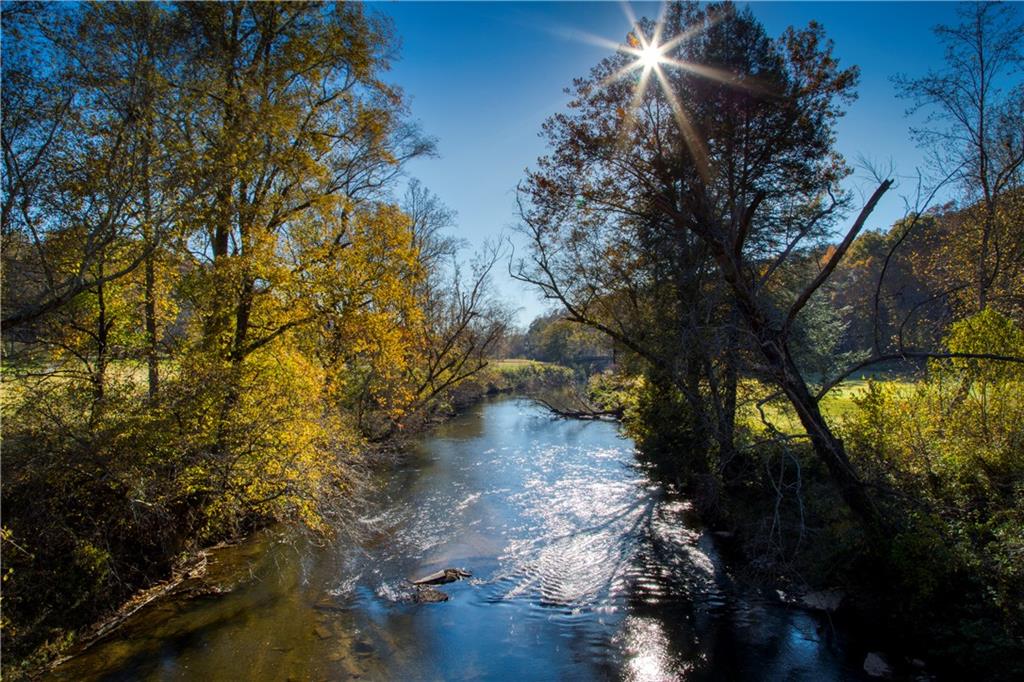 1024 Bear Paw Ridge Dahlonega, GA 30533 - Photo 35 of 41 a picture of trees with green space